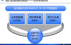 全程回放：100T核心数据库升级历险记