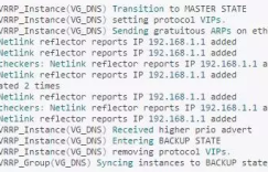 系统运维：DNS通过软路由（Quagga’s OSPF）实现负载均衡